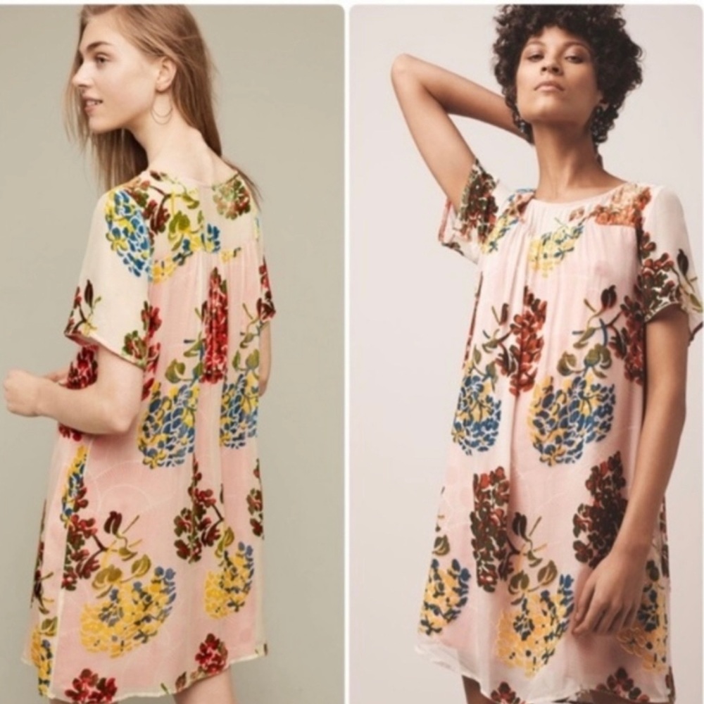 Maeve XSP Flower Market Velvet Swing Dress